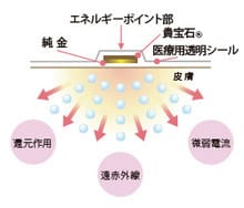 カウンセリングの様子